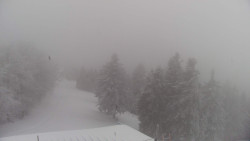 Lalíky vrcholová stanice