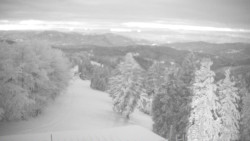 Lalíky vrcholová stanice