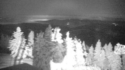 Lalíky vrcholová stanice