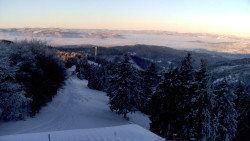 Lalíky vrcholová stanice