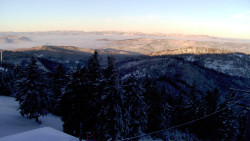 Lalíky vrcholová stanice