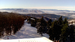 Lalíky vrcholová stanice