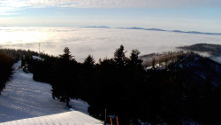 Lalíky vrcholová stanice