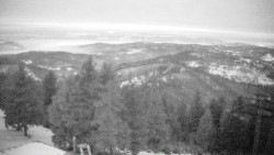 Lalíky vrcholová stanice