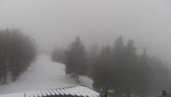 Lalíky vrcholová stanice