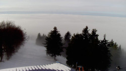 Lalíky vrcholová stanice