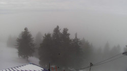 Lalíky vrcholová stanice