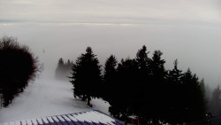 Lalíky vrcholová stanice