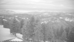 Lalíky vrcholová stanice