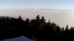 Lalíky vrcholová stanice