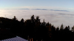 Lalíky vrcholová stanice