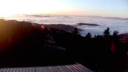 Lalíky vrcholová stanice