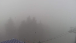 Lalíky vrcholová stanice