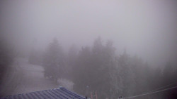 Lalíky vrcholová stanice