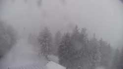 Lalíky vrcholová stanice