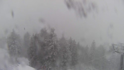 Lalíky vrcholová stanice