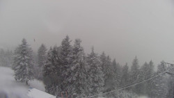 Lalíky vrcholová stanice