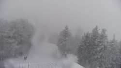 Lalíky vrcholová stanice