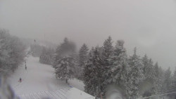 Lalíky vrcholová stanice