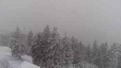 Lalíky vrcholová stanice