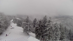 Lalíky vrcholová stanice