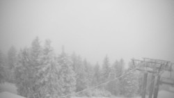 Lalíky vrcholová stanice