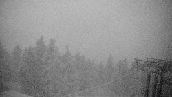 Lalíky vrcholová stanice