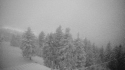 Lalíky vrcholová stanice