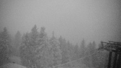 Lalíky vrcholová stanice