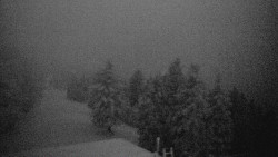 Lalíky vrcholová stanice