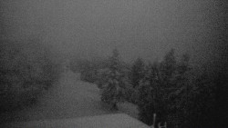 Lalíky vrcholová stanice