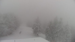 Lalíky vrcholová stanice