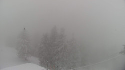 Lalíky vrcholová stanice