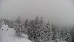 Lalíky vrcholová stanice