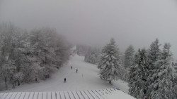 Lalíky vrcholová stanice