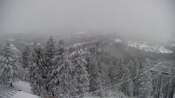 Lalíky vrcholová stanice