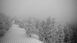 Lalíky vrcholová stanice