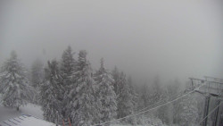 Lalíky vrcholová stanice