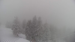 Lalíky vrcholová stanice