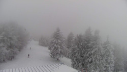 Lalíky vrcholová stanice