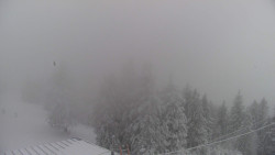 Lalíky vrcholová stanice