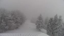 Lalíky vrcholová stanice