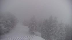 Lalíky vrcholová stanice