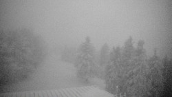 Lalíky vrcholová stanice