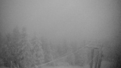 Lalíky vrcholová stanice