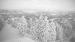 Lalíky vrcholová stanice