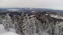 Lalíky vrcholová stanice