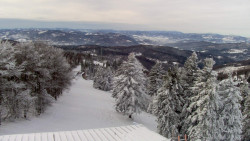 Lalíky vrcholová stanice