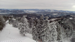 Lalíky vrcholová stanice