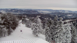 Lalíky vrcholová stanice